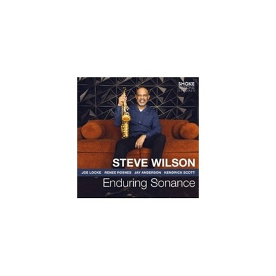 STEVE WILSON: ENDURING SONANCE - CD