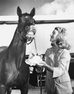 Grand Wizard Racehorse, Vintage Kentucky Derby Races B&W Photo Poster, Imagekind