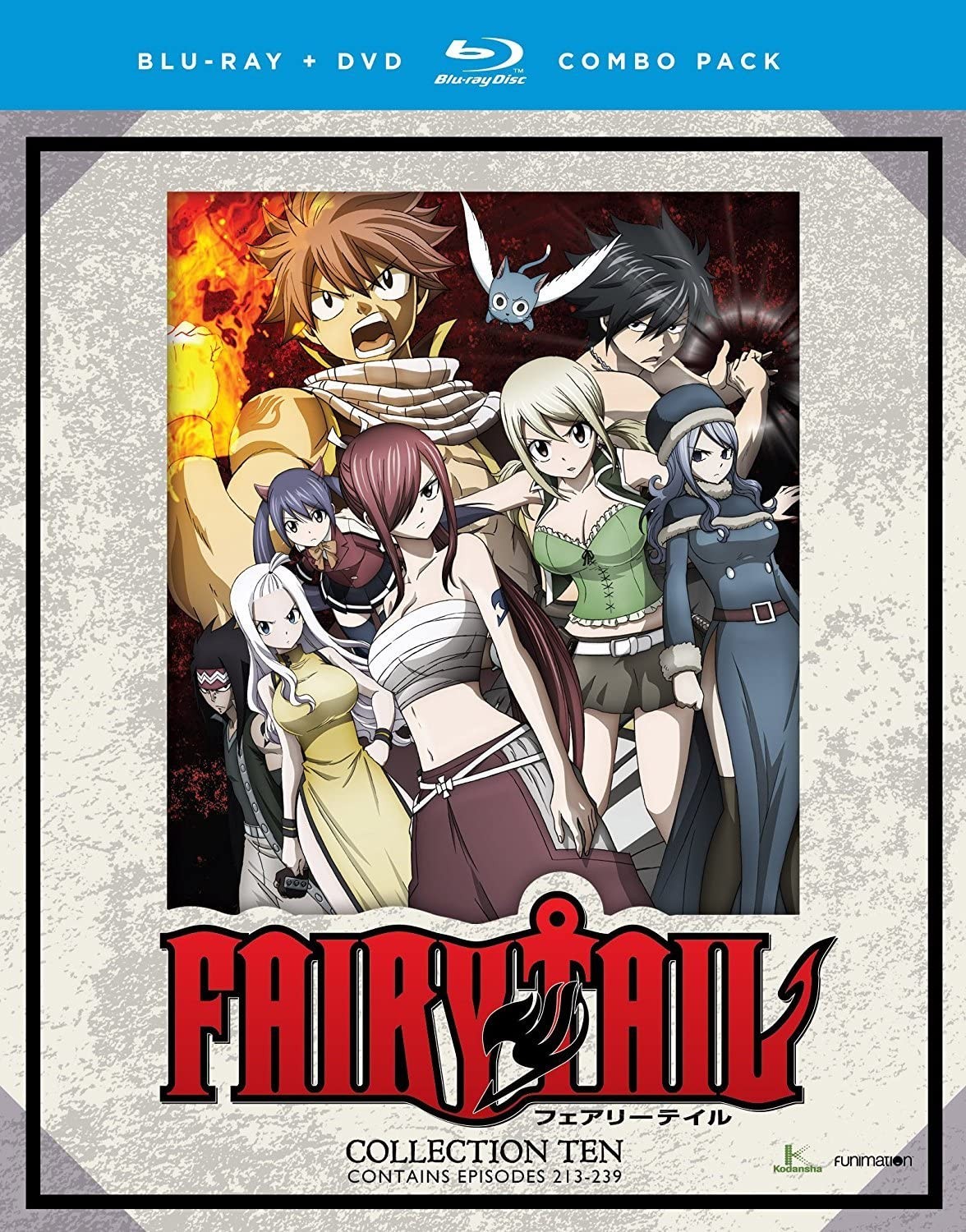 Fairy Tail: Collection Ten (Blu-ray) Cherami Leigh Todd Haberkorn Newton Pittman