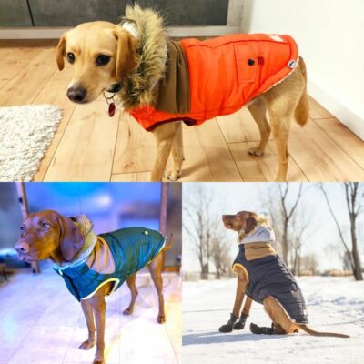 Hundemantel Wintermantel Hund Jacke GF Pet LODGE Parka Farben