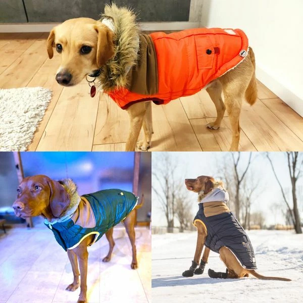 Hundemantel Wintermantel Hund Jacke GF Pet LODGE Parka div. Farben 2XS - 4XL
