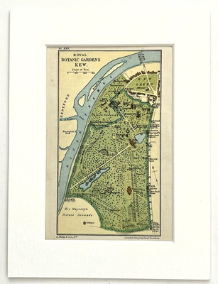 #ad #ad Antique 1920s London Map Mounted Colour KEW BOTANICAL GARDENS GBP 9.99