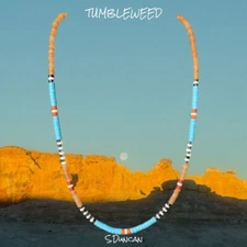 Native American Heishi Necklace