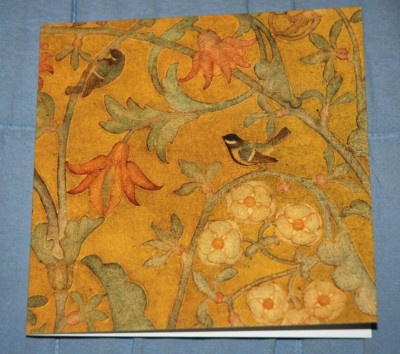 Blaumeisen und Blumen PHOEBE ANNA TRAQUAIR, leere Grußkarte - NEU & versiegelt