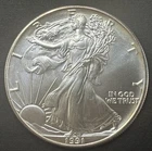 1991 American Silver Eagle .999 Fine Silver US $1 Coin Brilliant Uncirculated