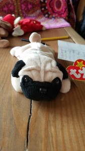pugsly beanie baby