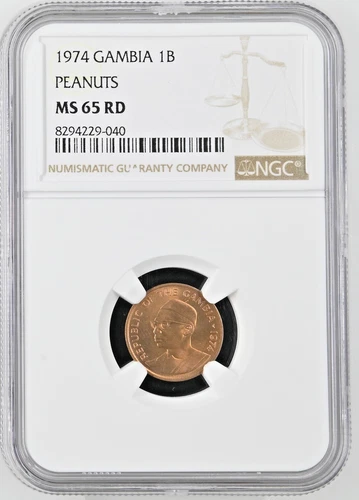 1974 Gambia Butut - Peanuts - NGC MS 65 RD