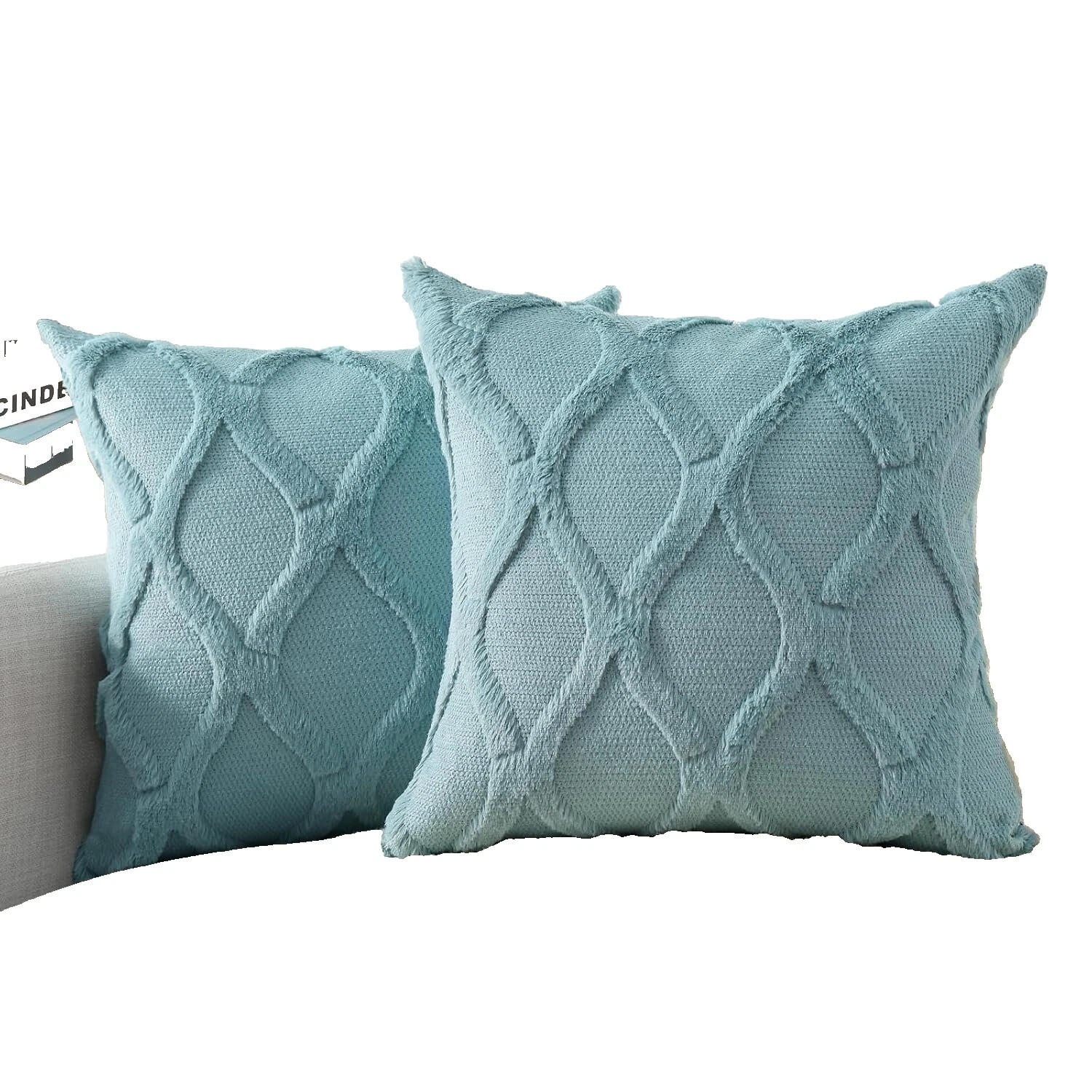 Pillow Cover Home Décor Pillows