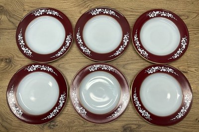 6er Set Vintage JAJ Pyrex Rot Weißdorn Blumen 8,5'' Mittagessen Salat Teller