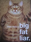 UNUSED vintage greeting card American Greetings BIRTHDAY Cat A Big Fat Liar — photo 5