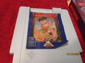 Secret Scout in the Temple of Demise (Nintendo, NES) Color Dreams W/Box Tested