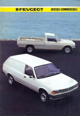 peugeot 504 van
