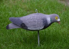 Lockvögel Taube Vollschale beflockt inkl. Erdspieß 33cm äsende Locktaube