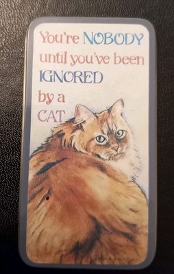 Kühlschrankmagnet - Du bist niemand, bis du von einer Katze ignoriert wurdest - Katzenliebhaber