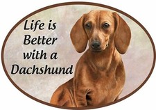 Dachshund red Magnet - Life is Better with a ... car,frig,locker,file cab 