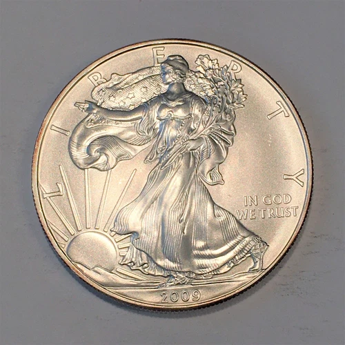 2009 Uncirculated American Silver Eagle US Mint Issue 1oz Pure Silver #N310