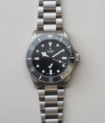 Tudor Pelagos 39 Dino Titanium 25407 Google Employee Men's Watch Limited