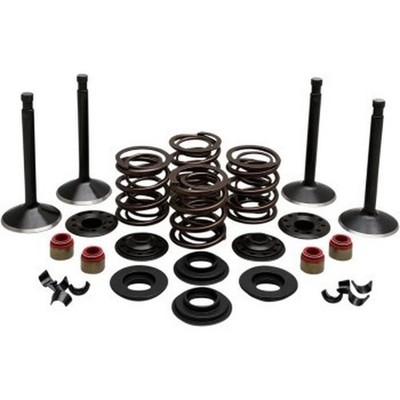 Kibblewhite Precision 20-22150 Motorventil-Set Für Panhead