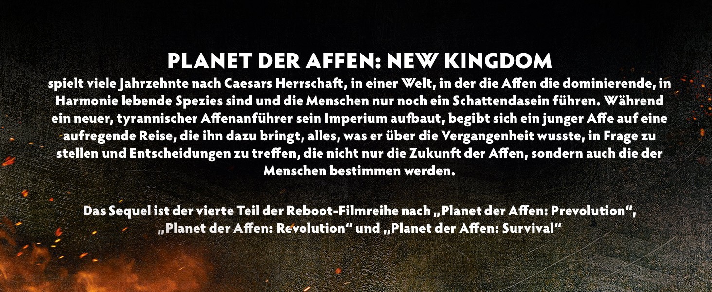 Bild 6 von 6