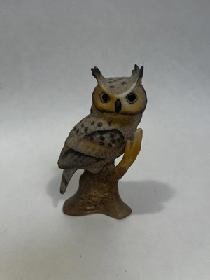 Owl on a Branch