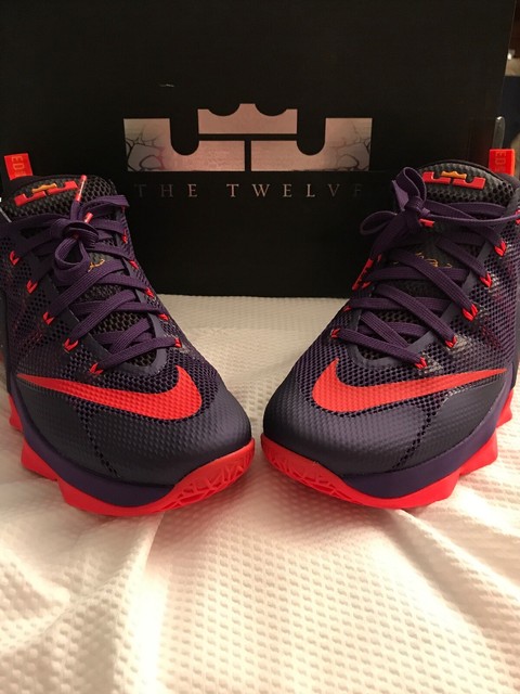 lebron 12 low court purple