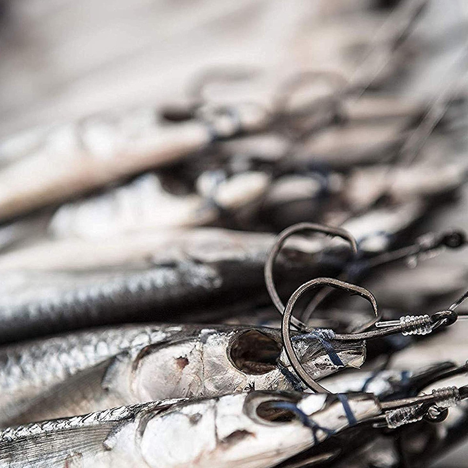 Tuna Circle Fishing Hooks Stainless Steel Big Game Saltwater Hook 30Pcs Extra...