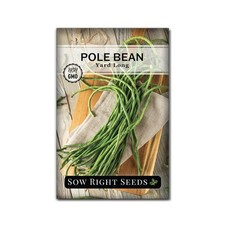 Sow Right Seeds - Asparagus Yard Long Pole Bean Seeds for Planting - Non-GMO ...