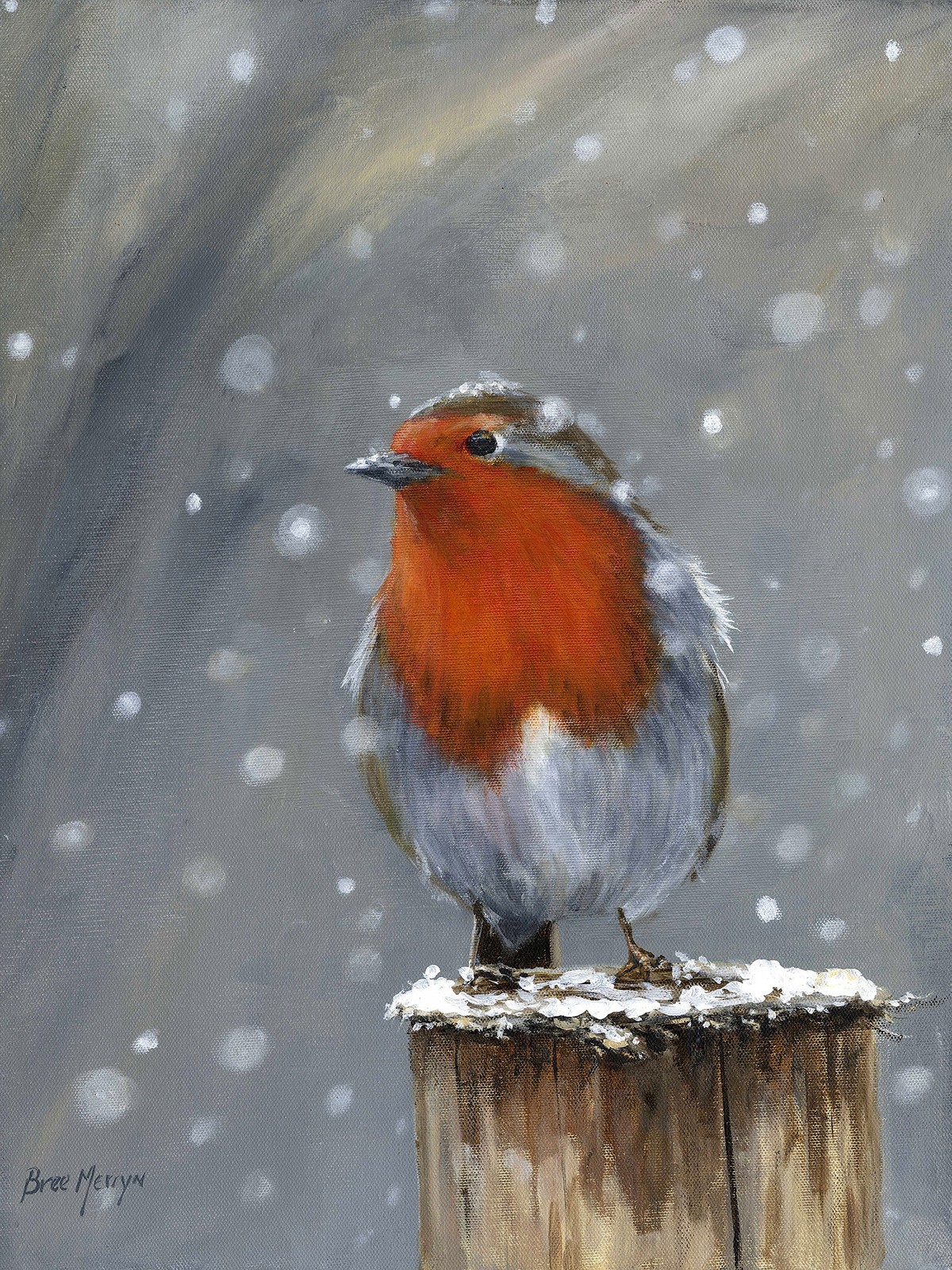Bree Merryn Canvas Cuties Reggie Robin Canvas 15 x 20cm
