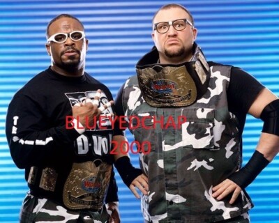最終値下げWWE D-Von Dudley & Bubba Ray Dudley Dudley Boyz