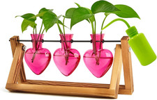 Plant Terrarium Propagation Stations 3 Heart Shaped Vases