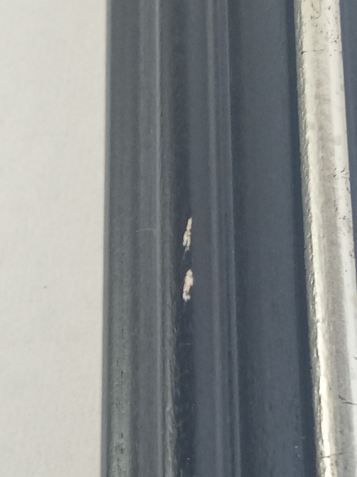 Picture 9 of 12