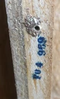 Picture 8 of 13