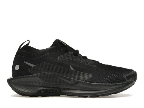 Nike Pegasus Trail 5 GORE-TEX Black Anthracite - FQ0908-002