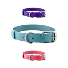 Heavy Duty Waterproof Odor-Proof Dog Collar with Rust-Proof Metal Hardware