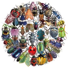 50 Realistic Insect Stickers - Transparent  Waterproof