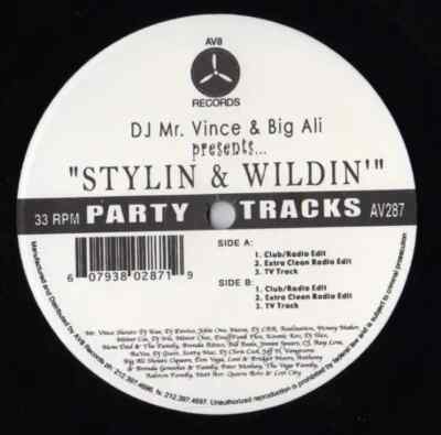 DJ Mr. Vince & Big Ali Stylin & Wildin Vinyl Single 12inch NEAR MINT AV
