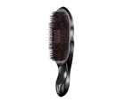 ReFa ION CARE BRUSH PREMIUM Black RS-BB-03A Scalp Hair Care MTG Japan New