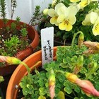 Foto 10 di 17