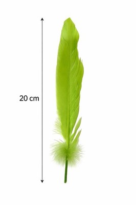 Colorful Gold Dipped Feather in Bulk for Craft Party Decoration Goose Feathers 2