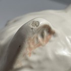 Foto 9 di 15