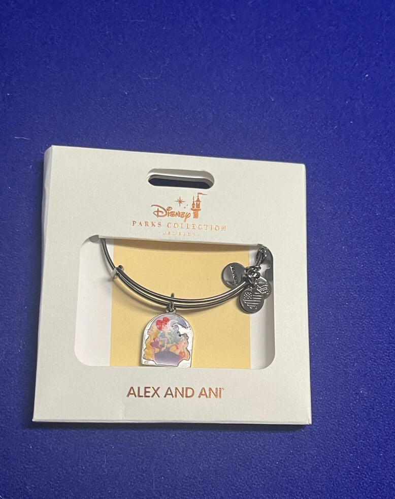 Alex and ani hotsell hocus pocus bracelet