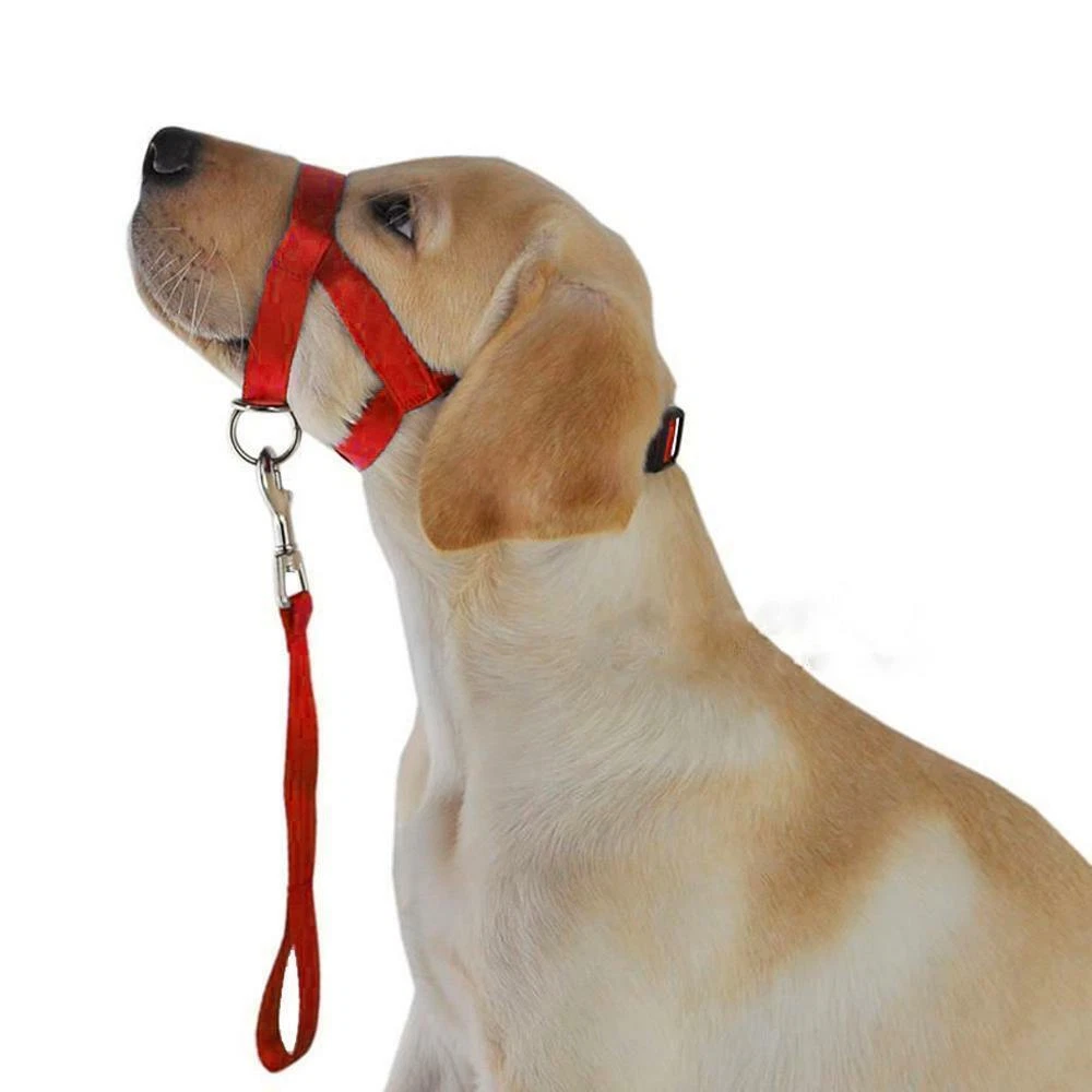 Halti top face harness
