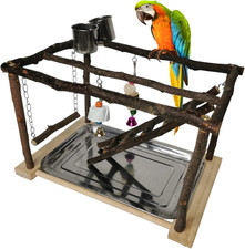 Parrots Playstand Bird Play Gym Cockatiel Playground Wood Perch Stand Climb New