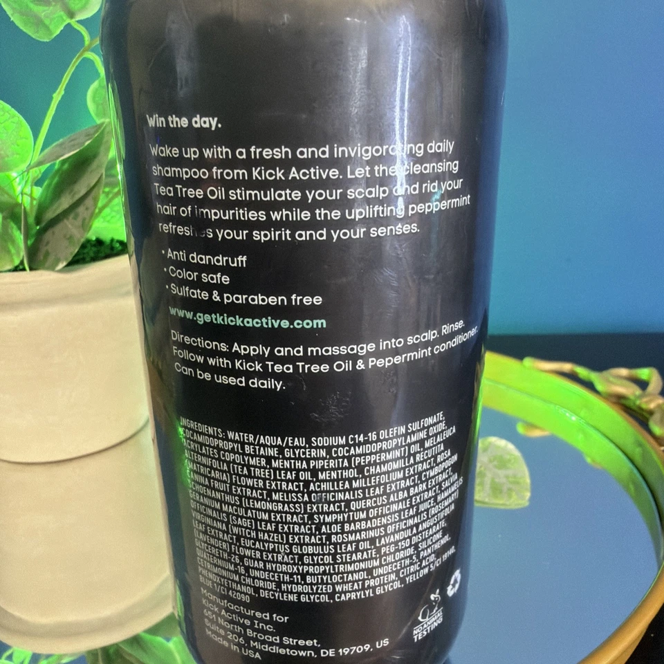 1X Anti Dandruff Shampoo for Men - Peppermint and Tea Tree Oil, Natural, 17.2 oz - Image 3 of 4