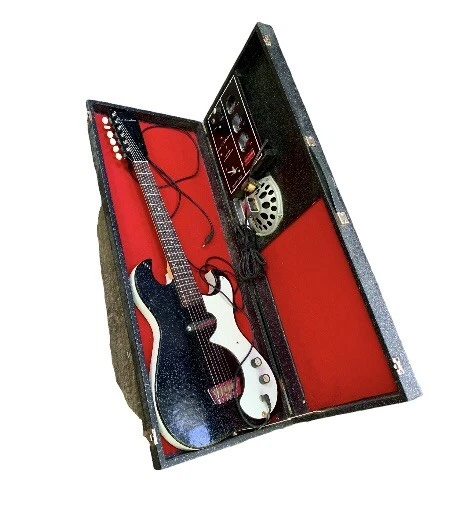 Danelectro amp sale in case