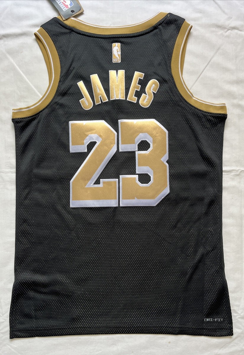 Nike NBA LALakers Lebron James #23 Select Series Jersey