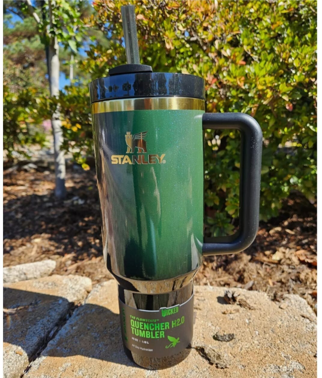 Stanley X Wicked 40oz Elphaba Tumbler with Free Priority Shipping