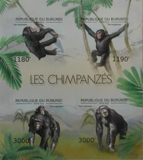 Chimpanzees monkeys fauna Burundi m/s Sc.1194 MNH #BUR12611a IMPERF
