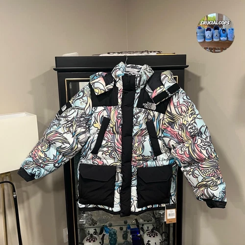 Taille L Veste rembourrée Supreme The north face 700 dragon multicolore LIVRAISON RAPIDE
