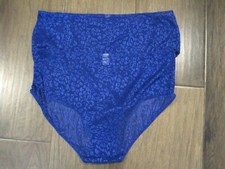 ASHLEY STEWART 2-PACK ROYAL BLUE LEOPARD MESH BRIEF PANTIES SIZE 18/20